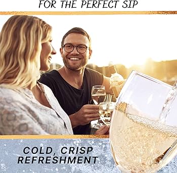 Amazon | Sippin'It 冷凍可能なワインチラー ワインパーティーパック